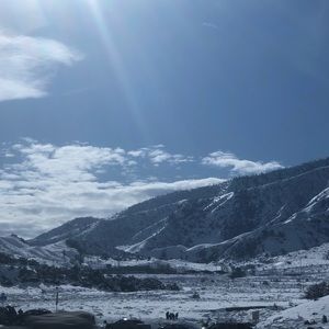 Meet your Posher, Rubi